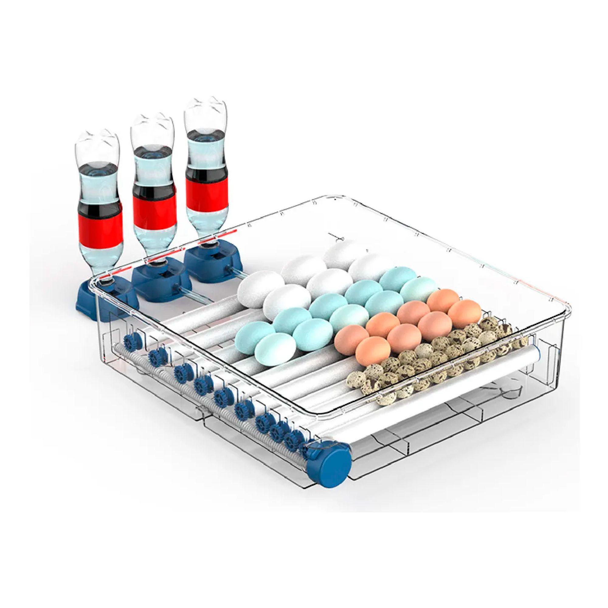 Incubadora 50w Digital Automática 36 Huevos-3
