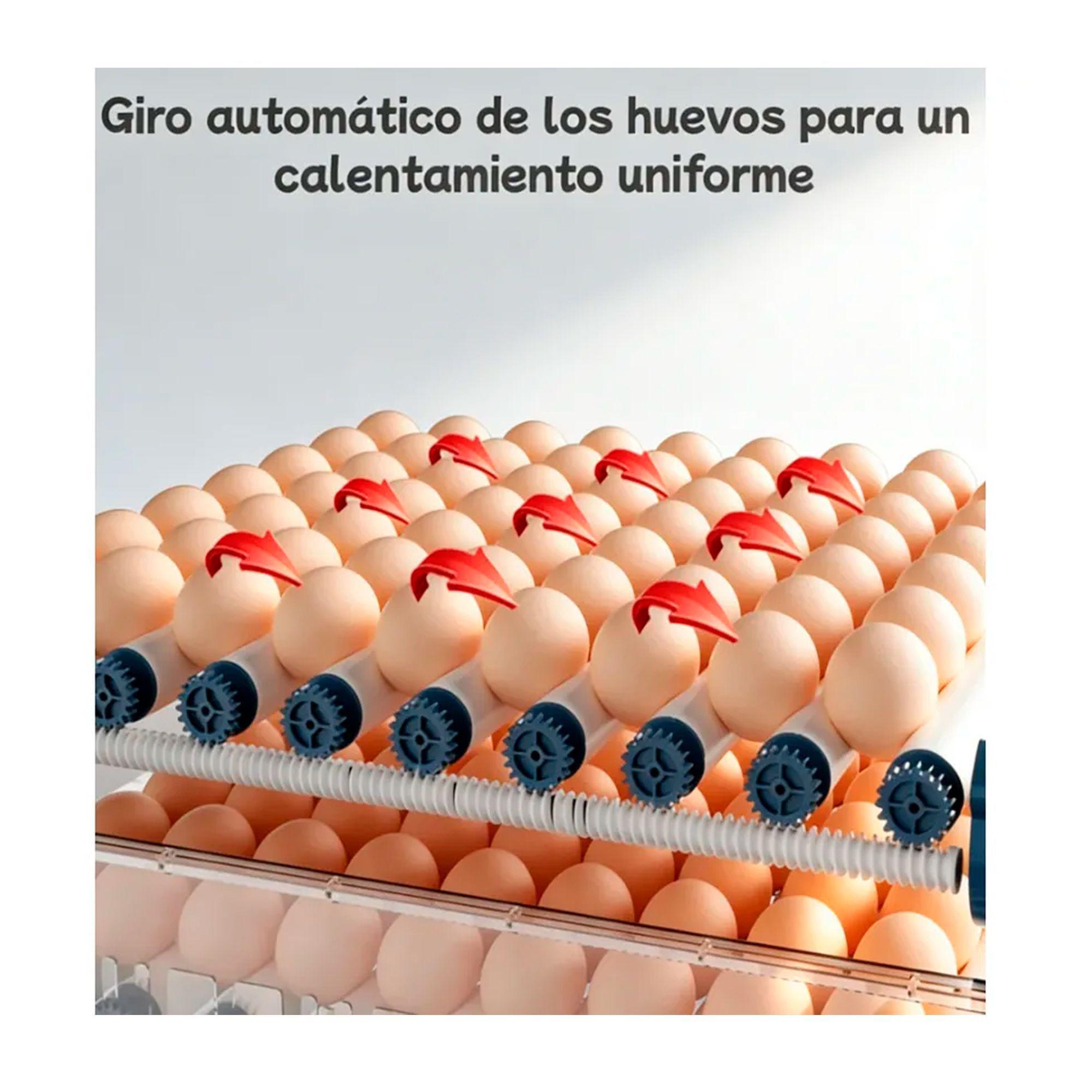 Incubadora 50w Digital Automática 36 Huevos-6