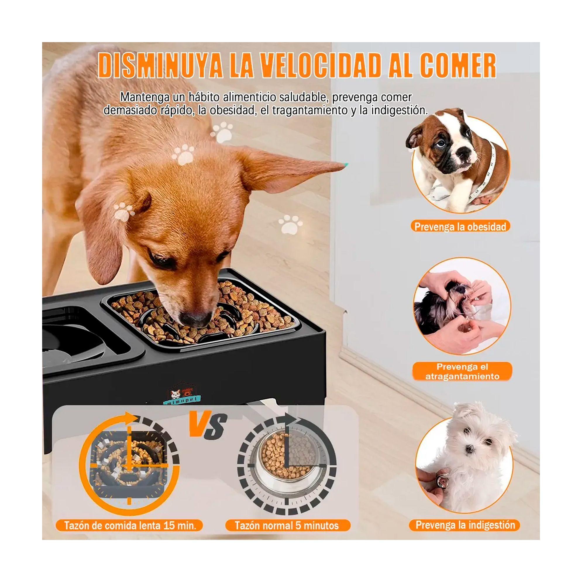 Comedero Bebedero Elevado Regulable 2en1 Perros Gatos Platos-3