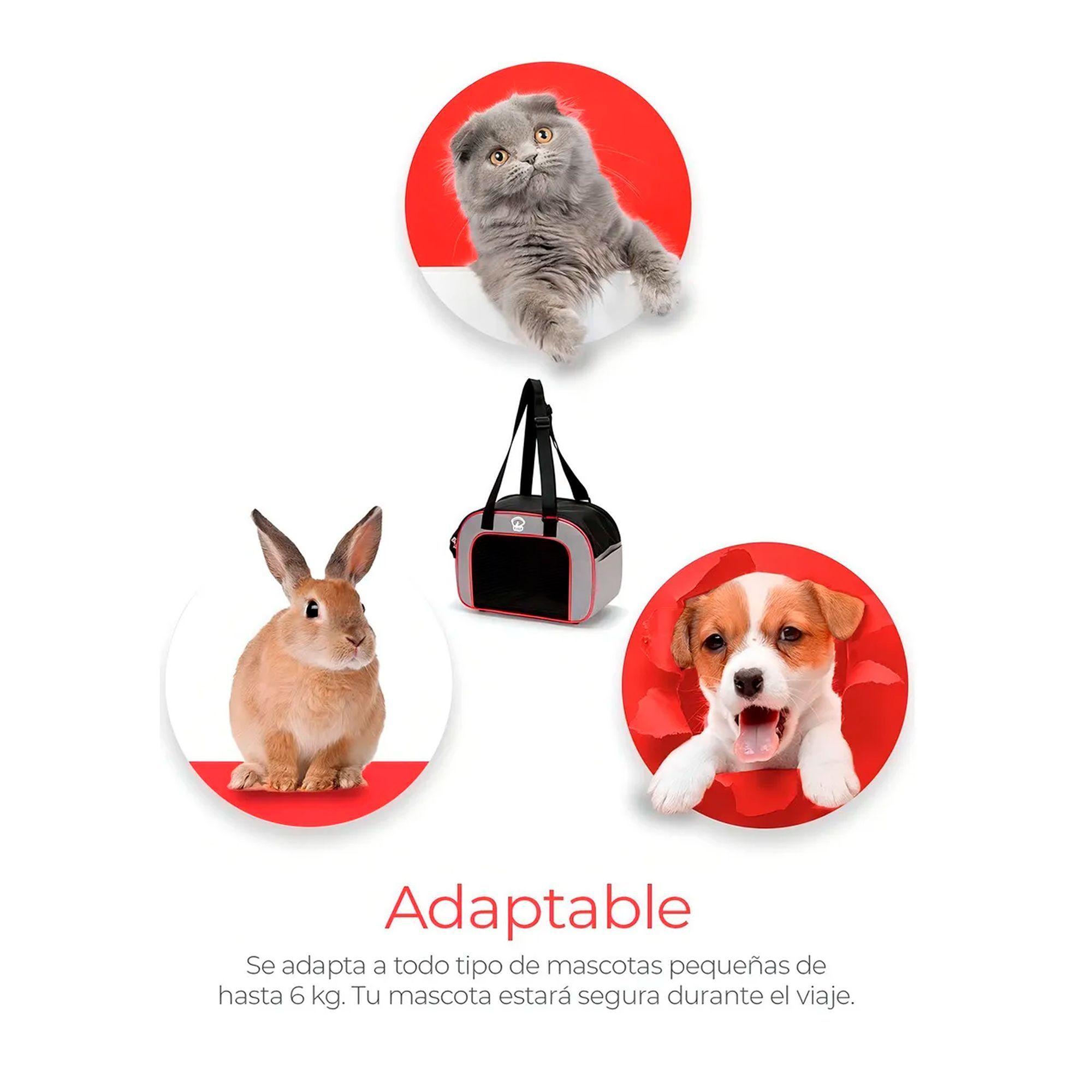 Bolso Transportadora Para Perro Y Gato Portátil Plegable -3