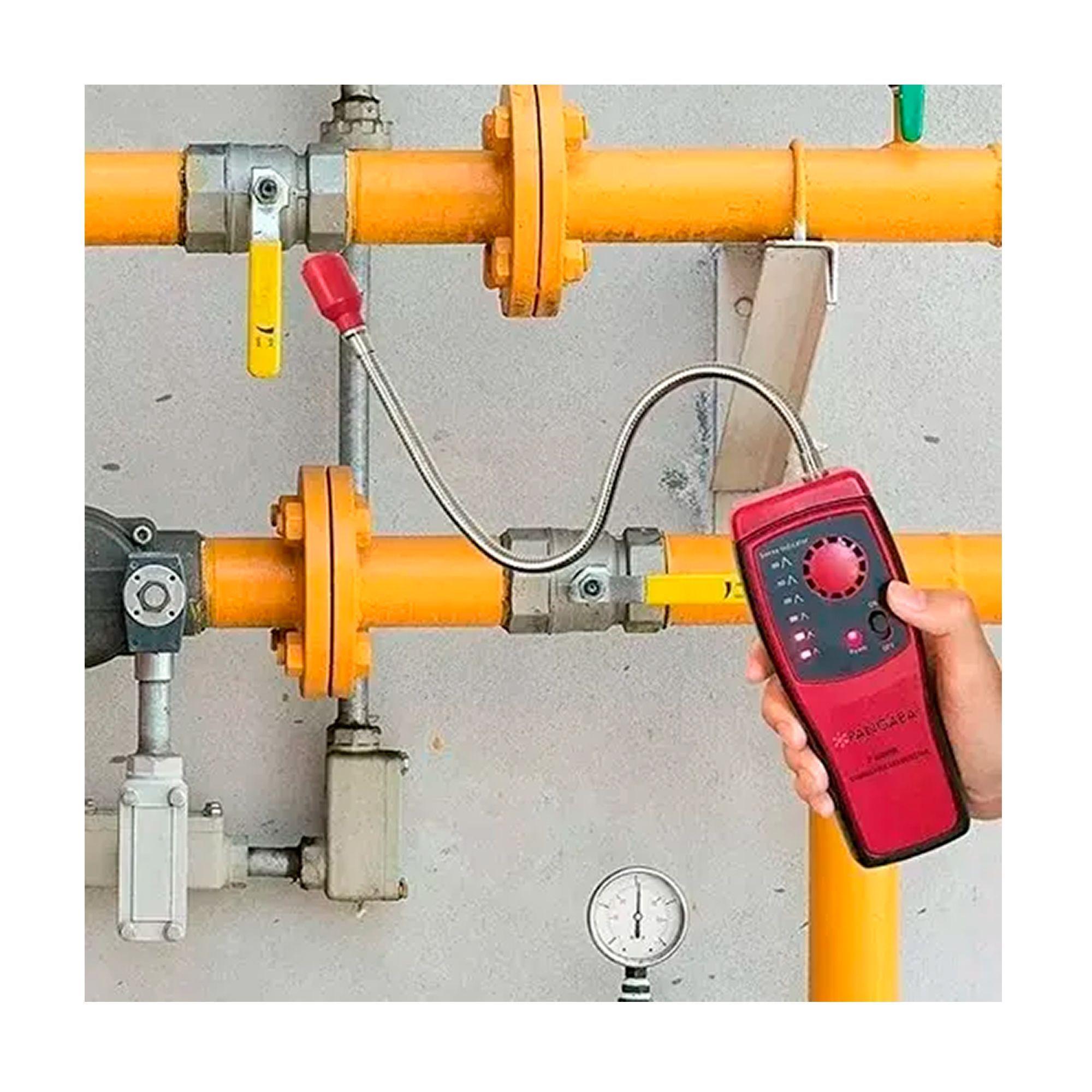Detector De Fuga De Gas Smart Sensor As8800l-4