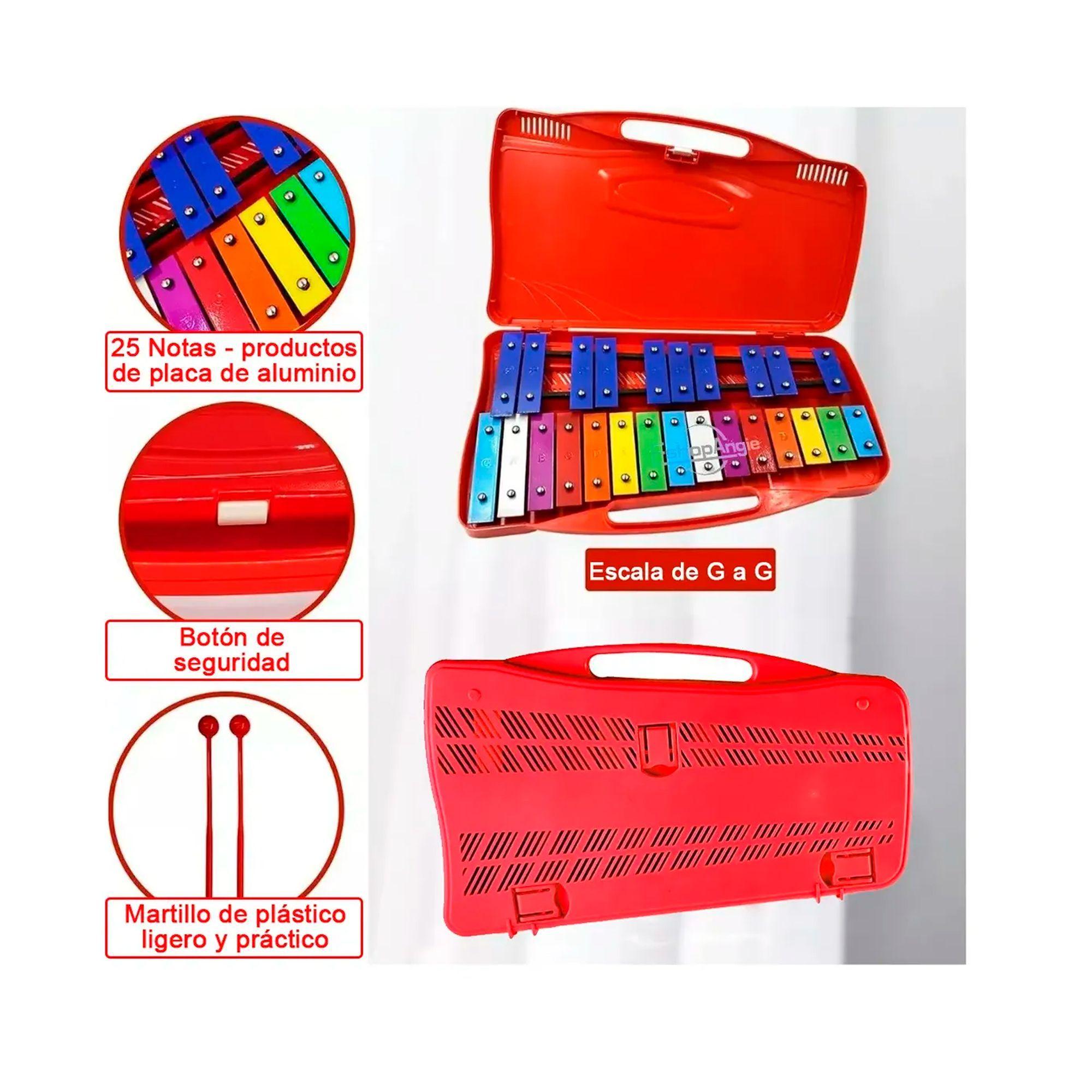 Metalófono Cromático Xilófono  Con Maleta-3