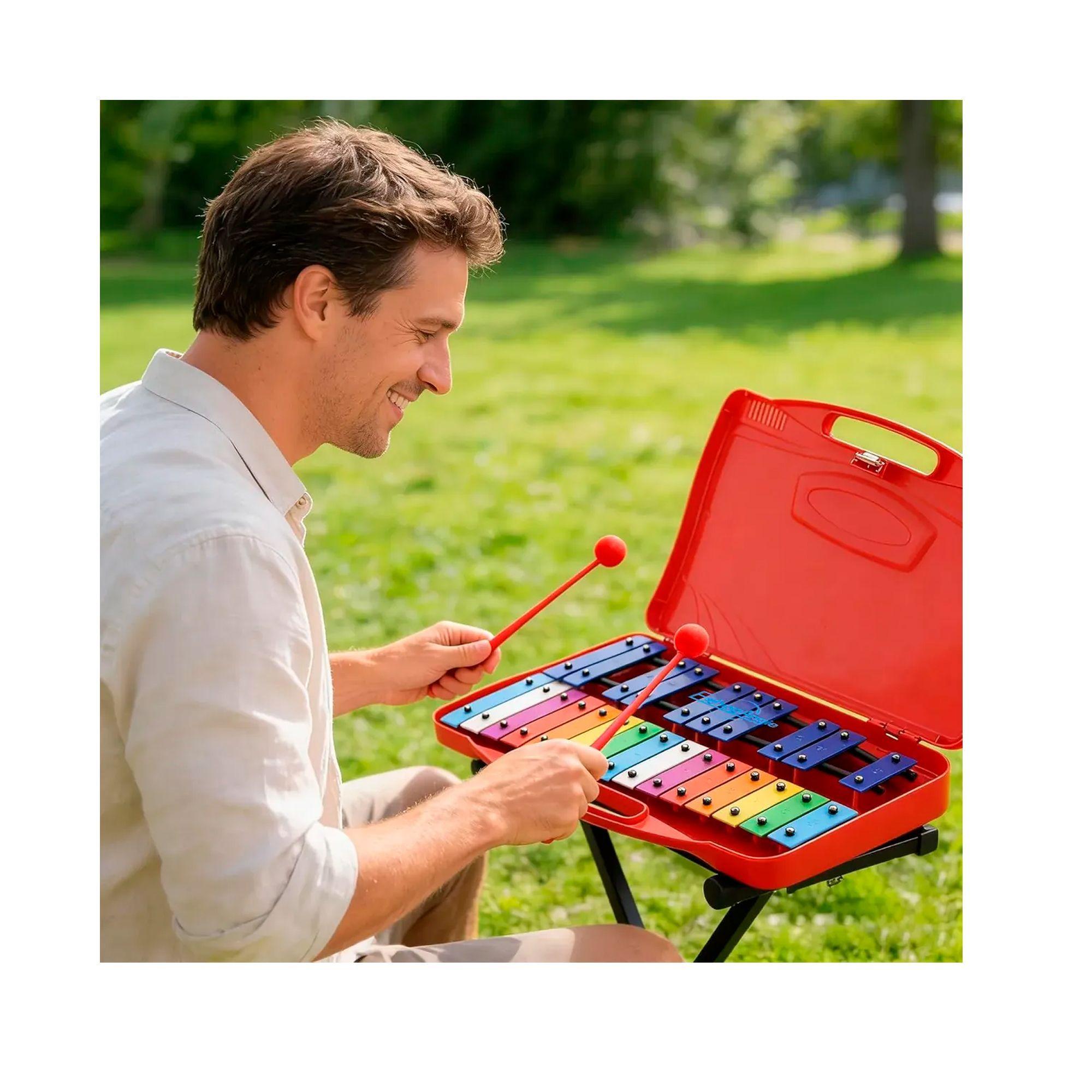 Metalófono Cromático Xilófono  Con Maleta-6