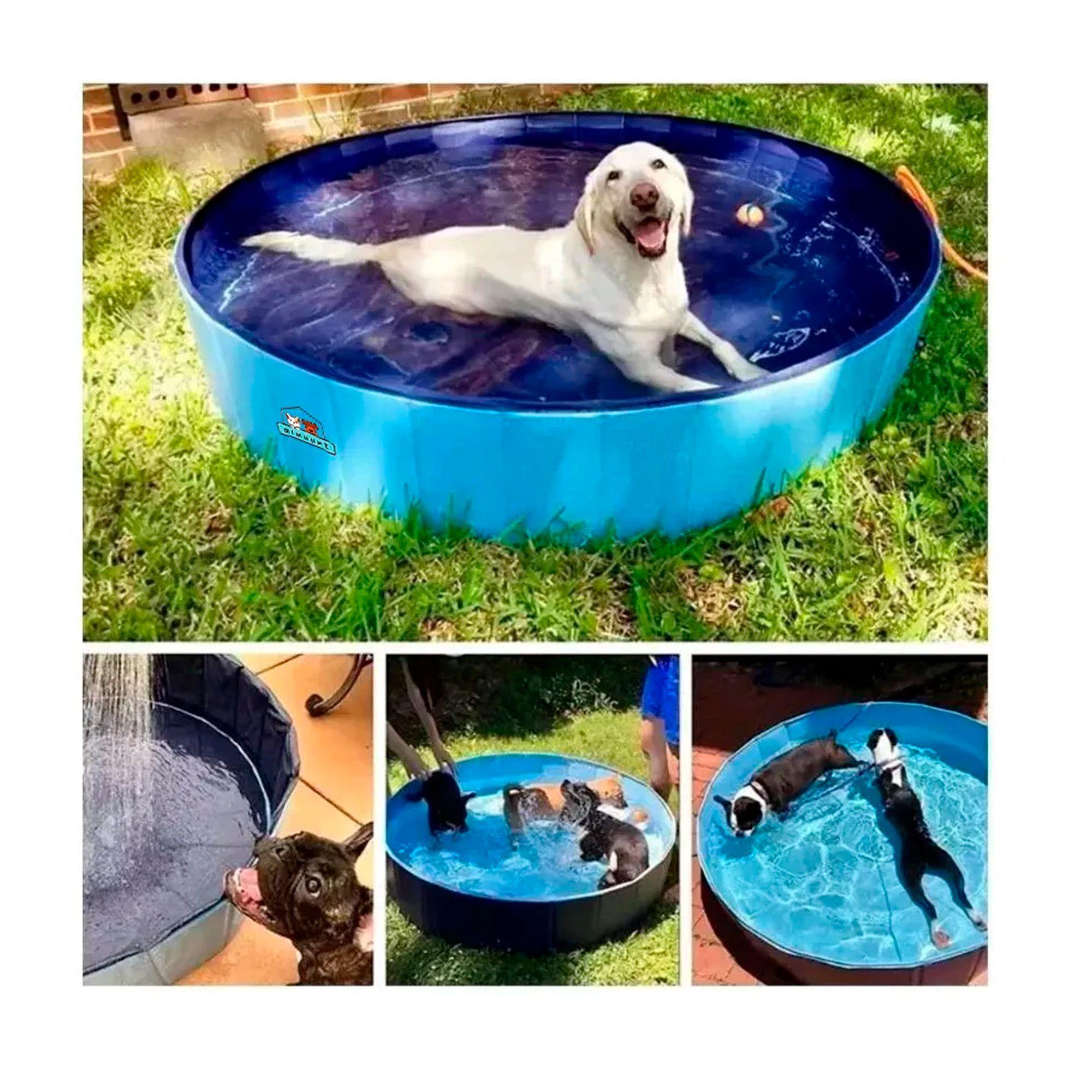 Piscina Plegable Para Mascotas Niños Pvc Resistente 120x30cm-6