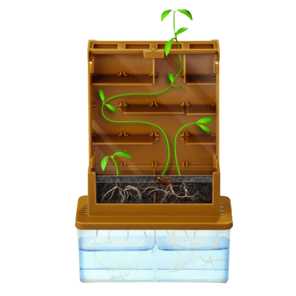 Steam+ Green Science Ciencia Crece Planta-1