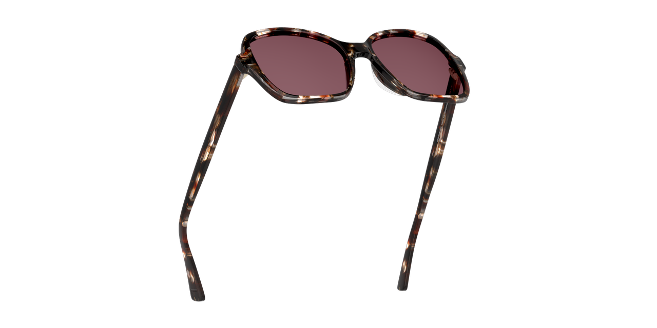 Anteojos De Sol Dbyd DB4012 Dbsf5008 Havana Unisex-4