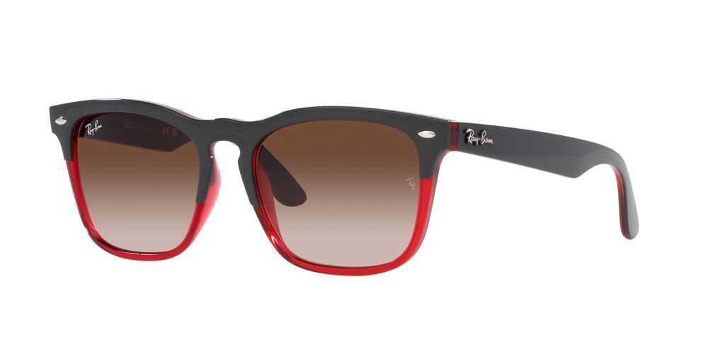 Lentes De Sol Ray-Ban Steve RB4487 Gris Unisex-1