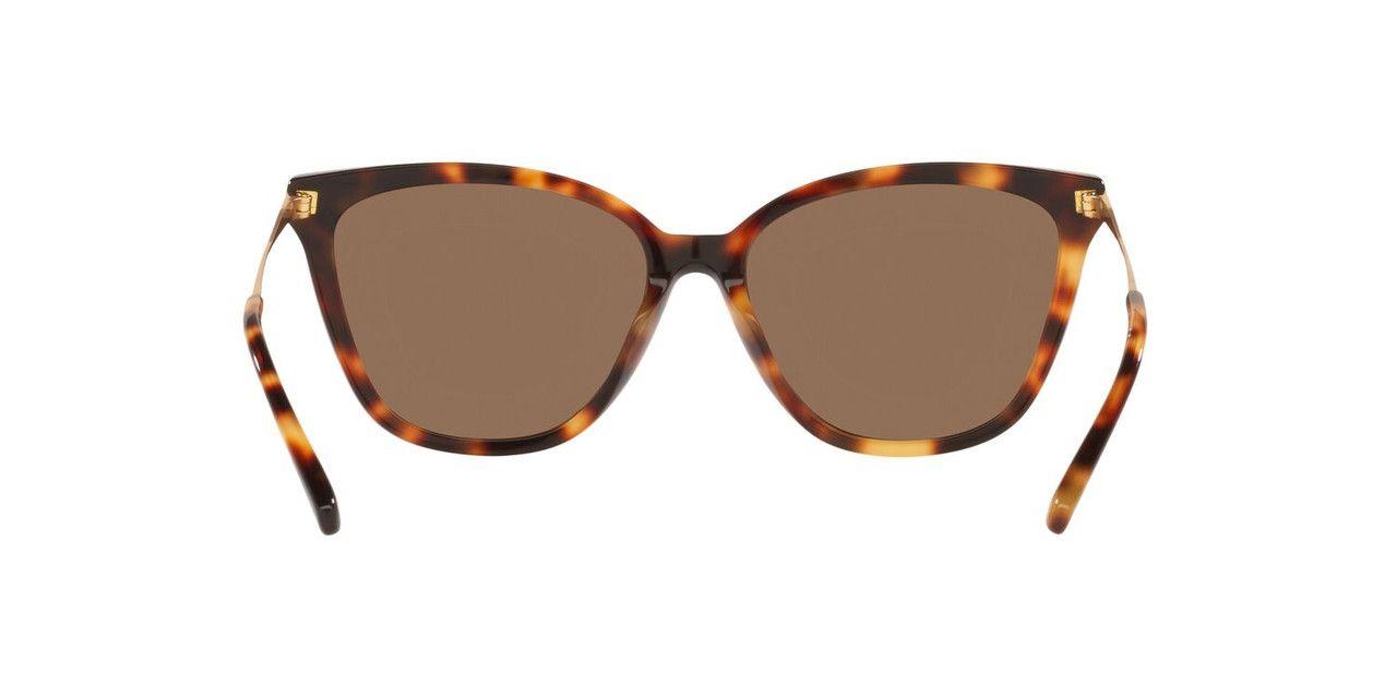 Anteojos De Sol Jack Pacific JK6001M  Havana Mujer-3