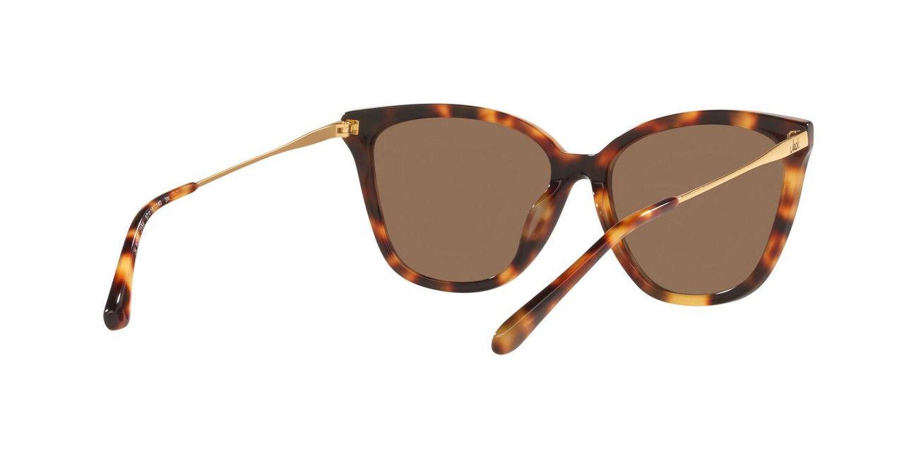 Anteojos De Sol Jack Pacific JK6001M  Havana Mujer-4