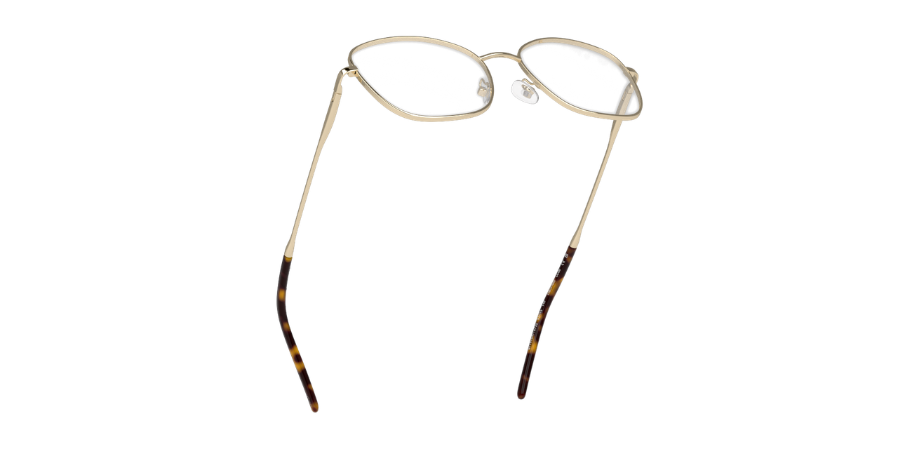 Anteojos Ópticos Dbyd DB1122   Dorado Not defined-4