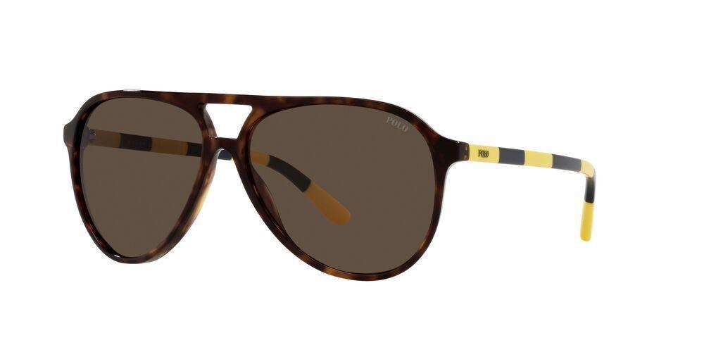 Lentes De Sol Polo Rl PH4173 Havana Hombre-0
