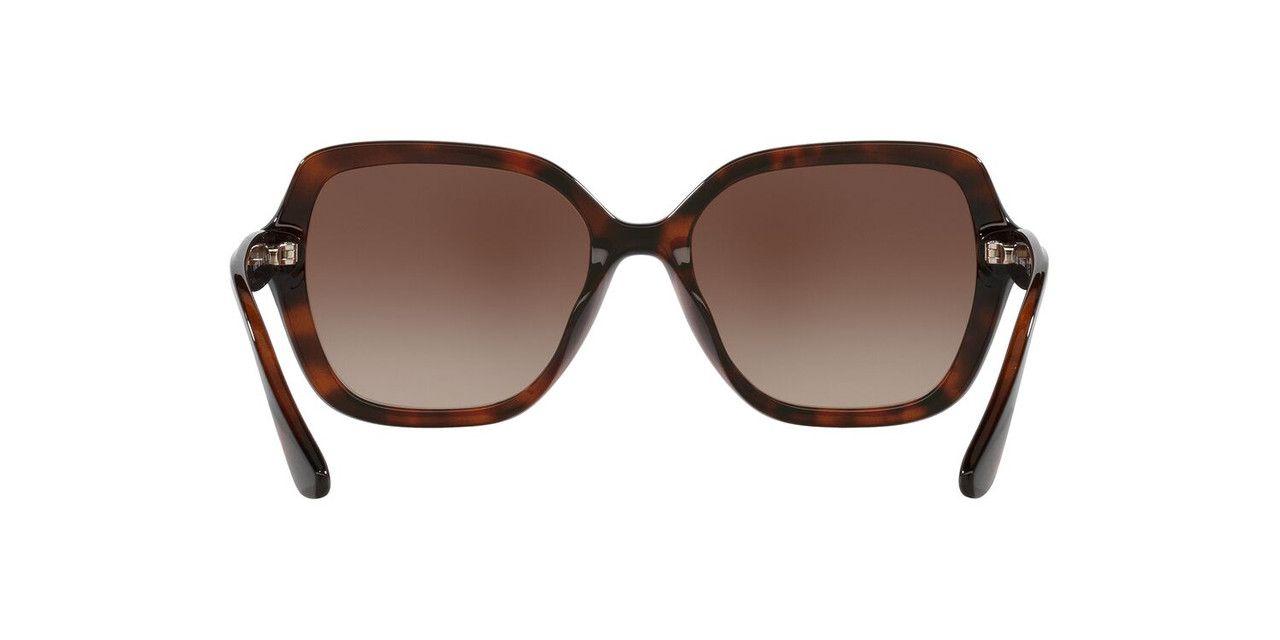Lentes De Sol Jack Pacific JK1042U  Havana Mujer-3