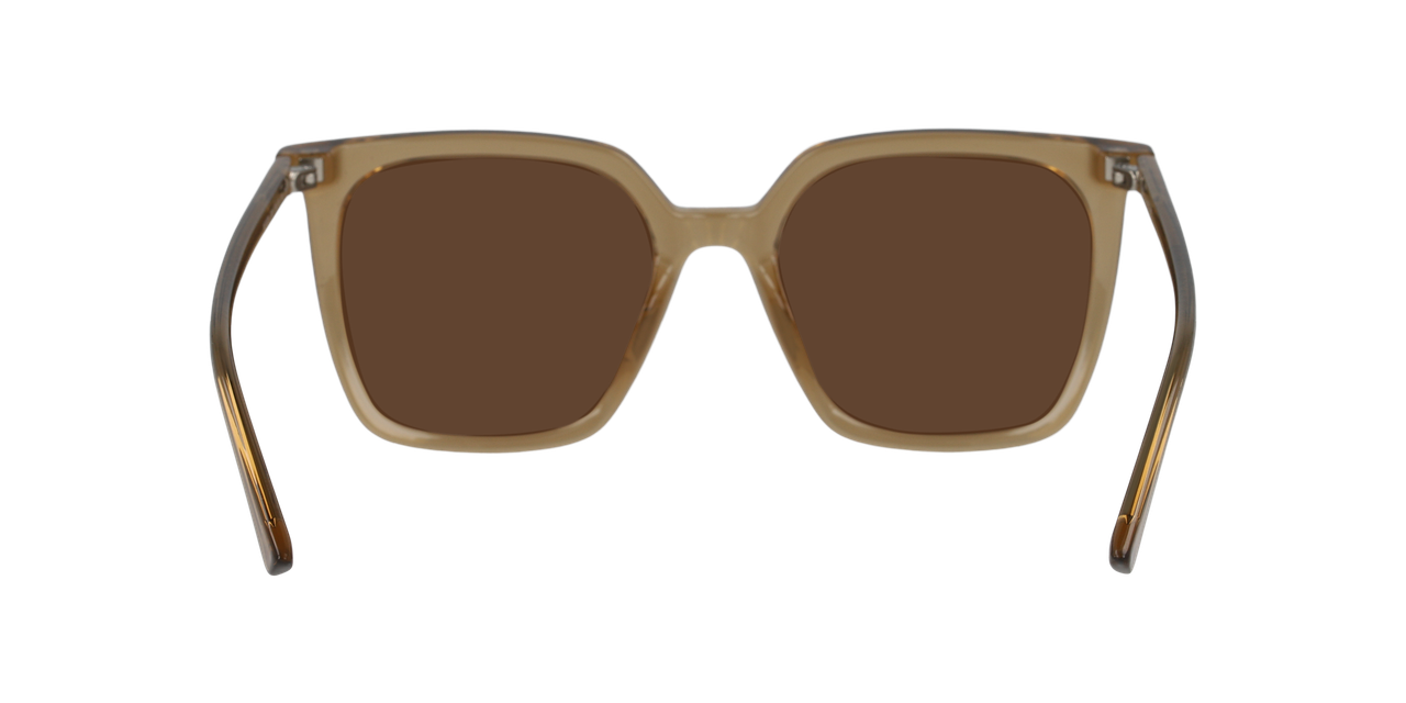 Lentes De Sol Seen  NE6076 Café Mujer-3
