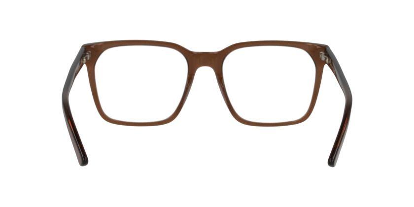 Anteojos Ópticos Dbyd DB2138 Transparent Brown Café Hombre-4