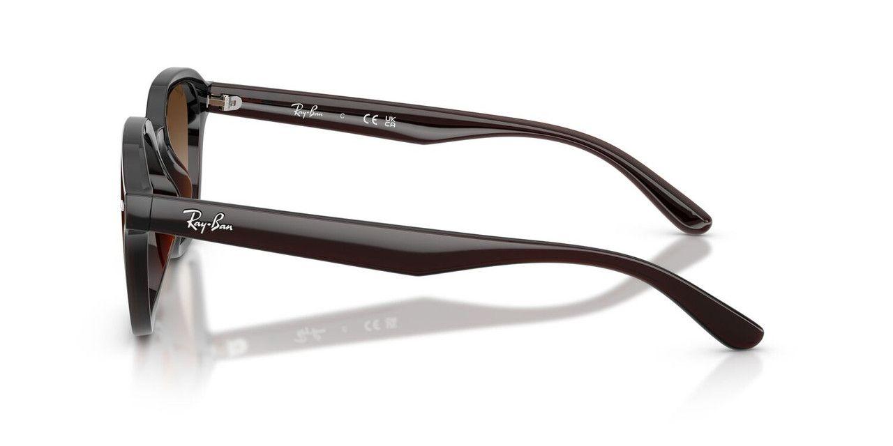 Anteojos De Sol Ray-Ban RB4458D  Café Unisex-2