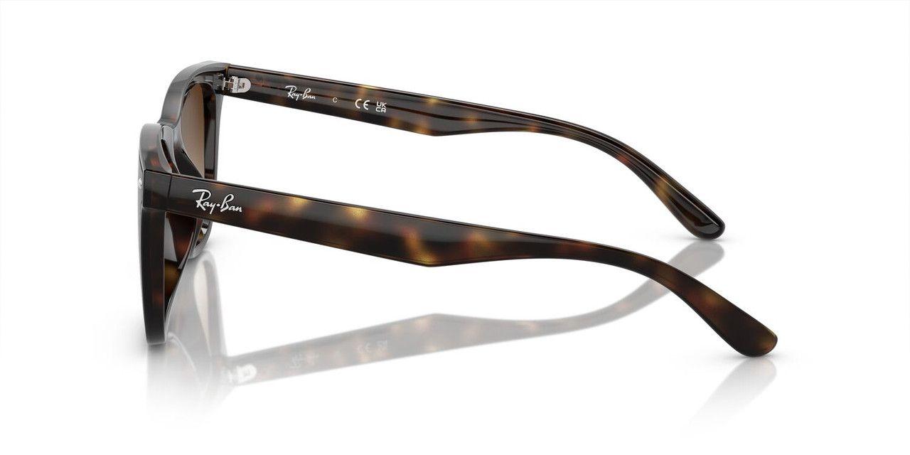 Lentes De Sol Ray-Ban RB4420  Havana Unisex-2