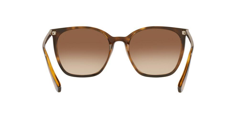 Anteojos De Sol Jack Pacific JK1013M Havana Gradient Brown Havana Mujer-3