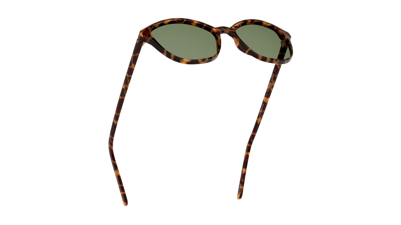 Anteojos De Sol Seen NE6004 Snsf0024 Havana Unisex-4