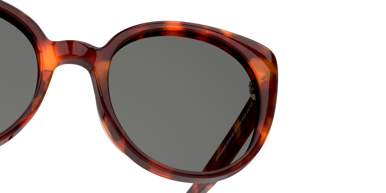 Anteojos De Sol Dbyd DB4017 Dbsf5010 Havana Red Green Havana Unisex-5