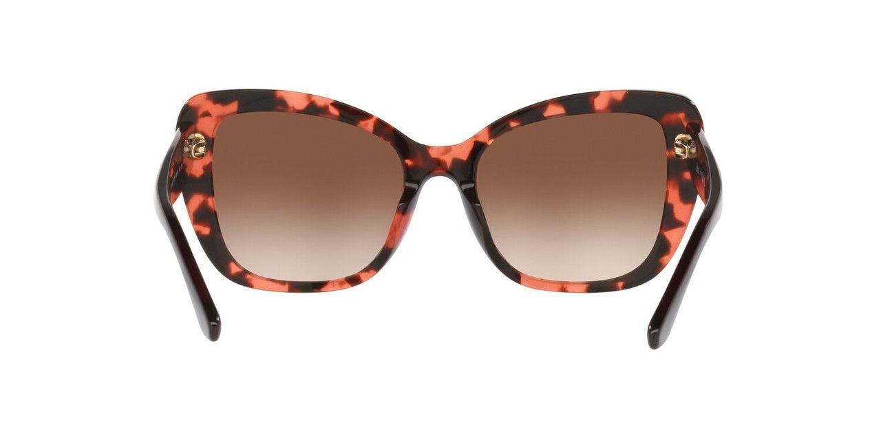Anteojos De Sol Jack Pacific JK6003UM  Havana Mujer-3
