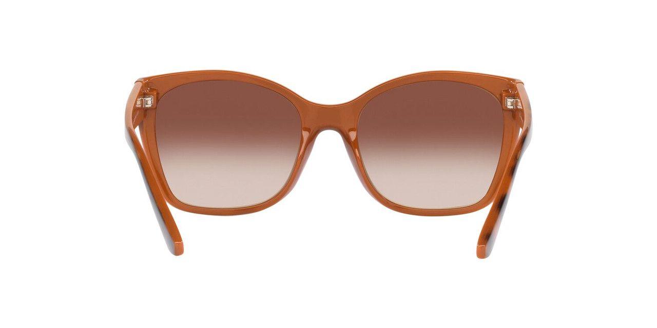 Anteojos De Sol Jack Pacific JK1036M  Havana Mujer-3