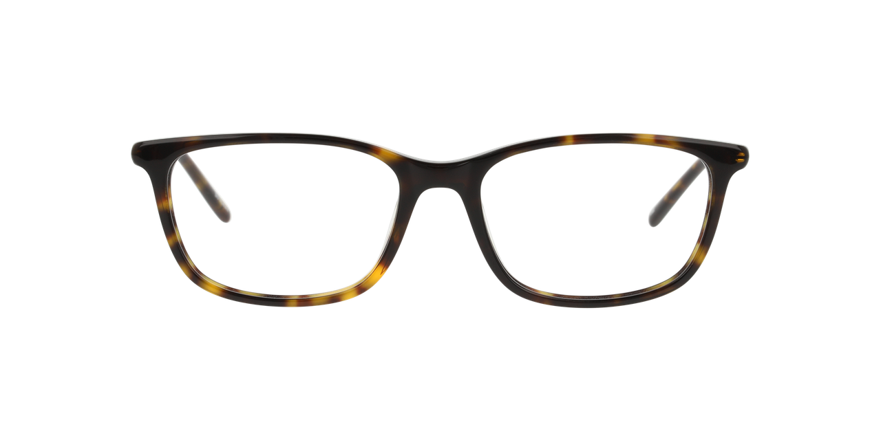 Anteojos Ópticos Dbyd DB2106  Havana Mujer-2