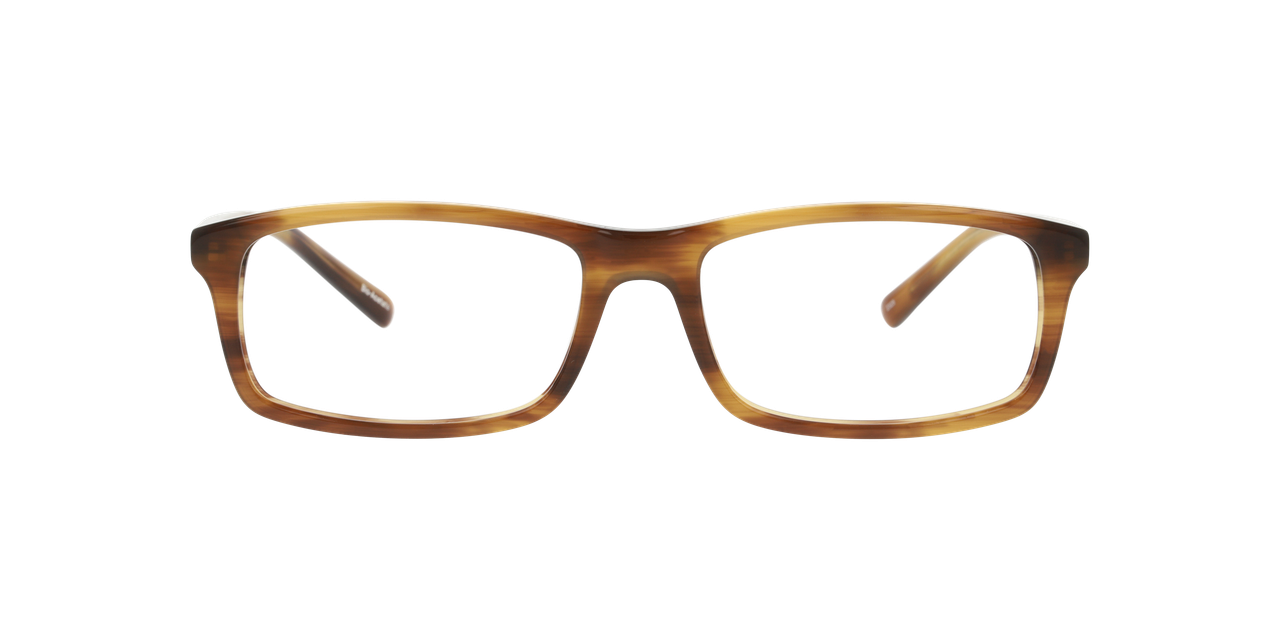 Anteojos Ópticos Dbyd DB2104  Havana Hombre-2