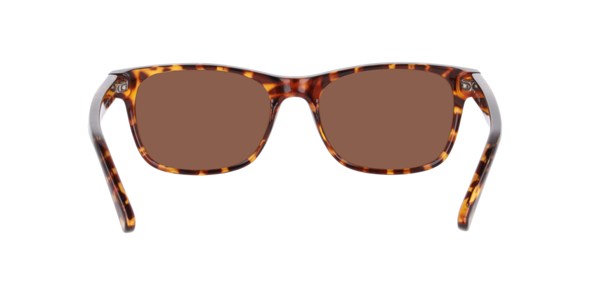 Anteojos De Sol Arnette 0AN3096 Matte Gunmetal Blue Gradient Grey Hombre-3