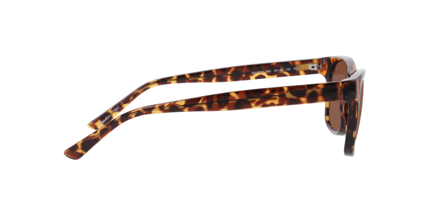 Anteojos De Sol Arnette 0AN3096 Matte Gunmetal Blue Gradient Grey Hombre-5