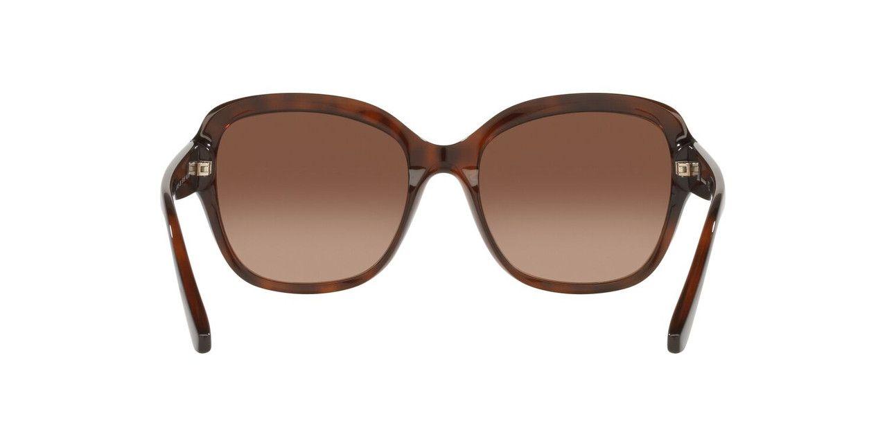 Anteojos De Sol Jack Pacific JK1025M  Havana Mujer-3