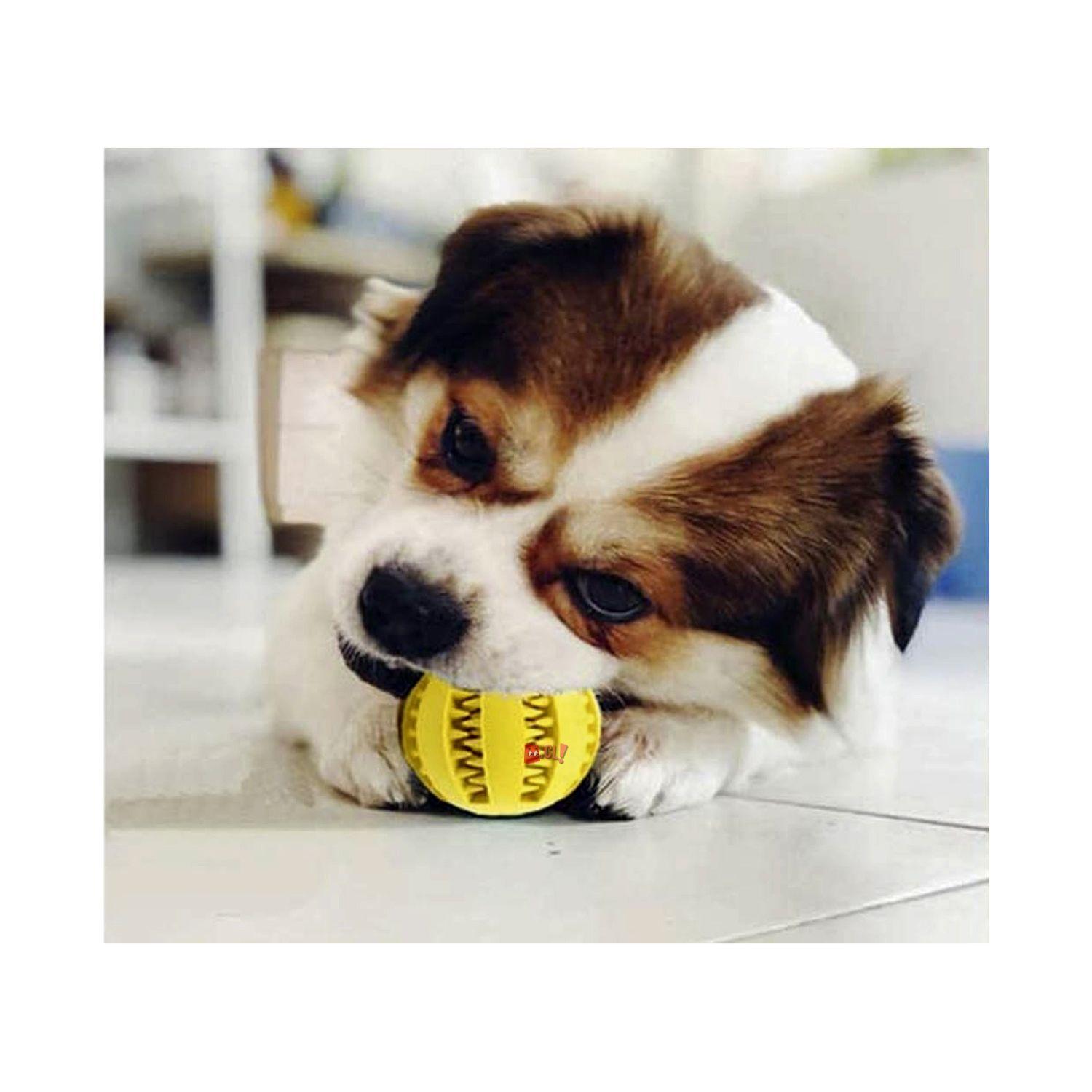 Pelota Mascotas De Juguete Para Limpieza De Dientes - PuntoStore-5