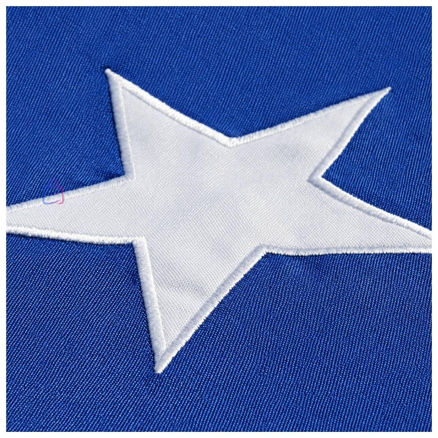 Bandera Chilena 100x150cm Con Estrella Bordada PS-2