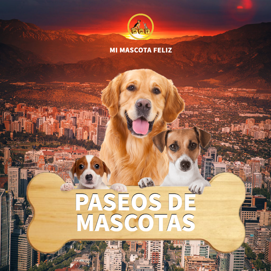 Paseo Mascota Personalizado-2