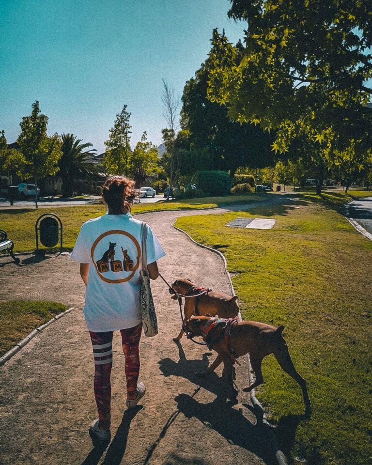 Plan Mensual 8 Paseos Mascota Super Senior-0