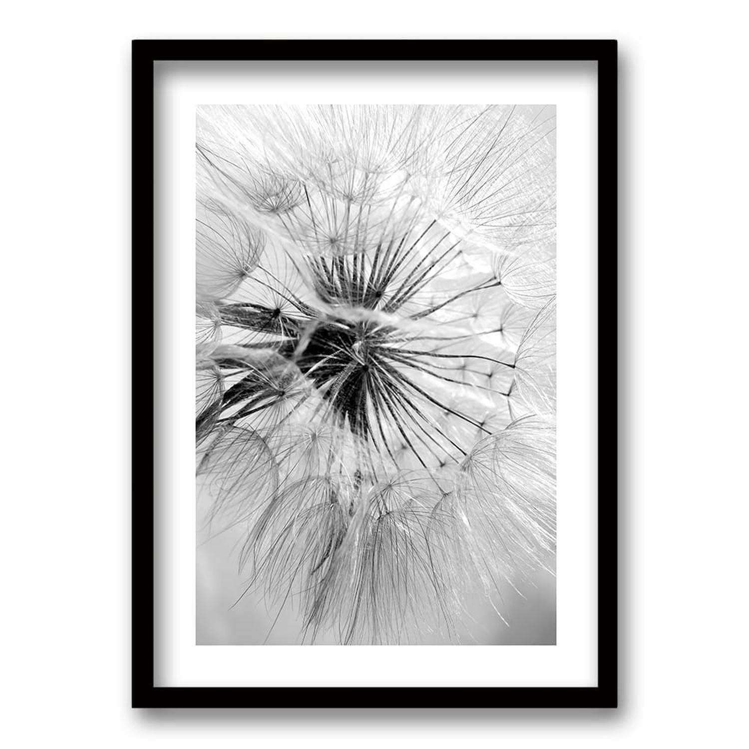 Cuadro Flor de León-0