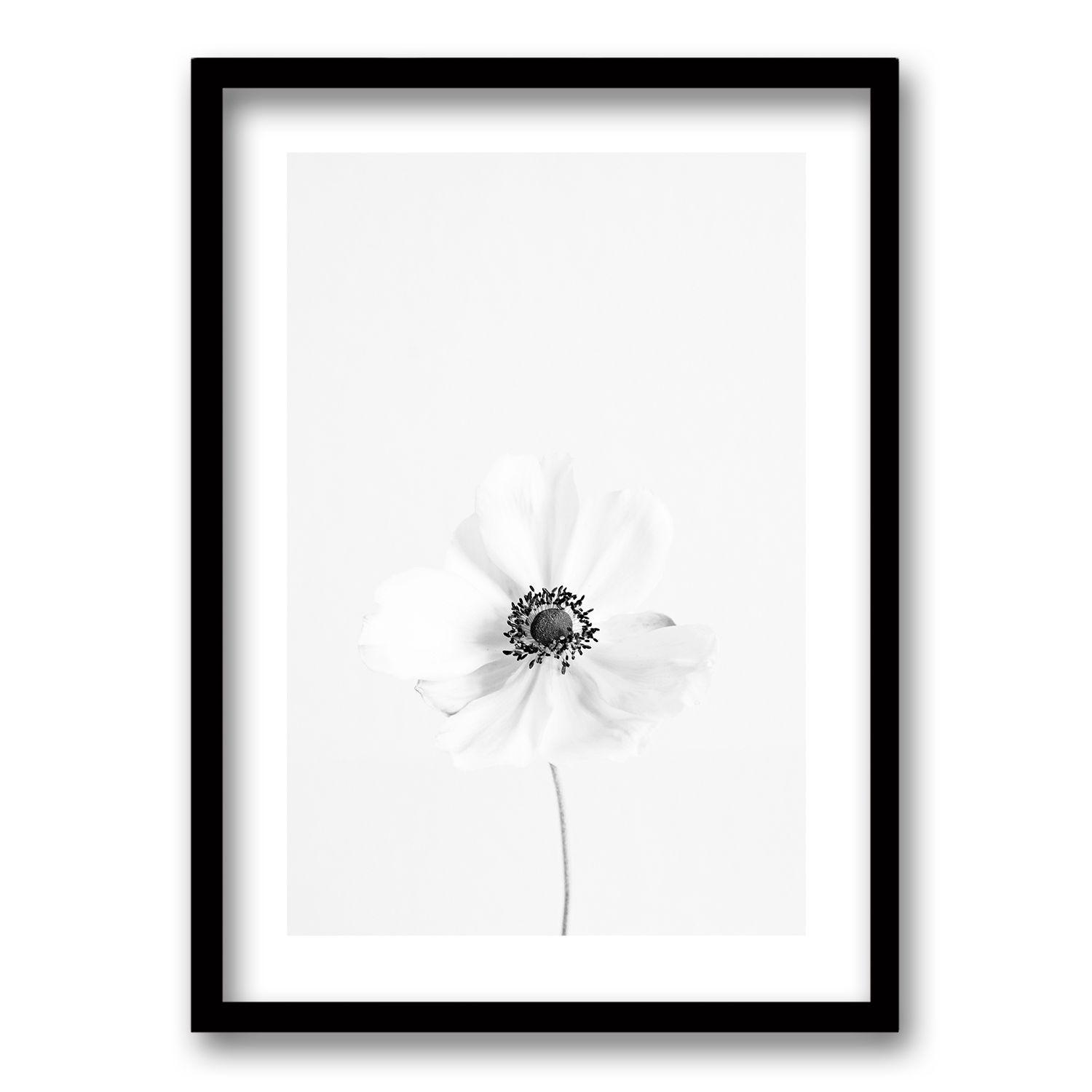 Cuadro Sutil Contraste Floral l 70x50 CM -0