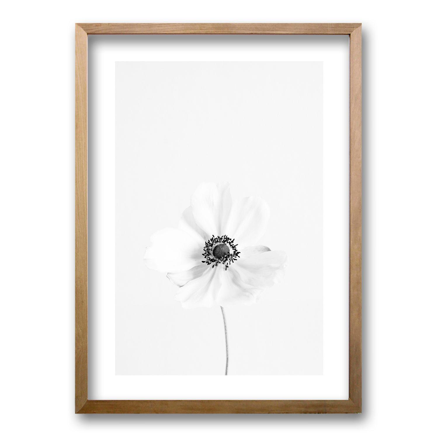 Cuadro Sutil Contraste Floral l 70x50 CM -0