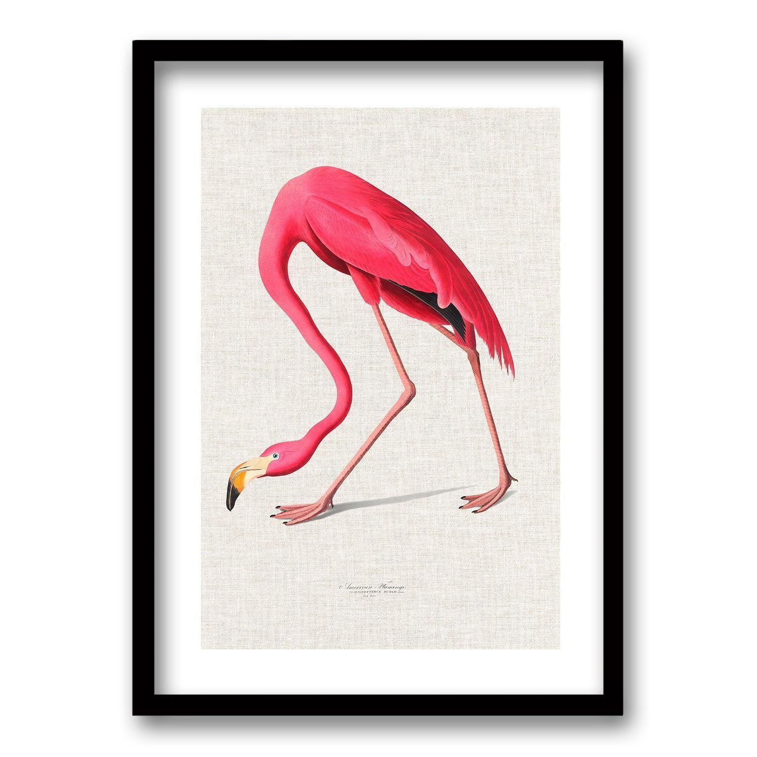 Cuadro Elegancia Alada II-0