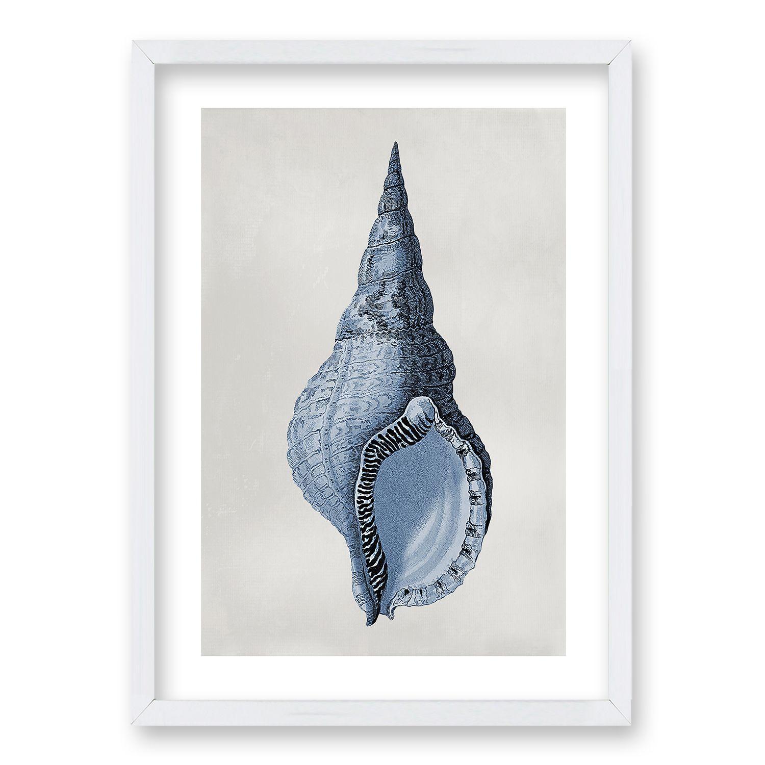 Cuadro Blue Shell ll 70x50 CM-0