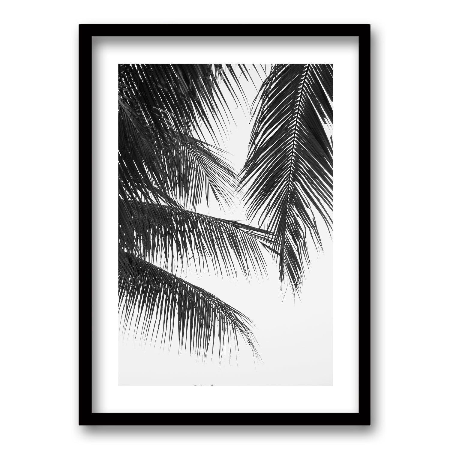 Cuadro Palmera Nocturna - 40x30 cm-0