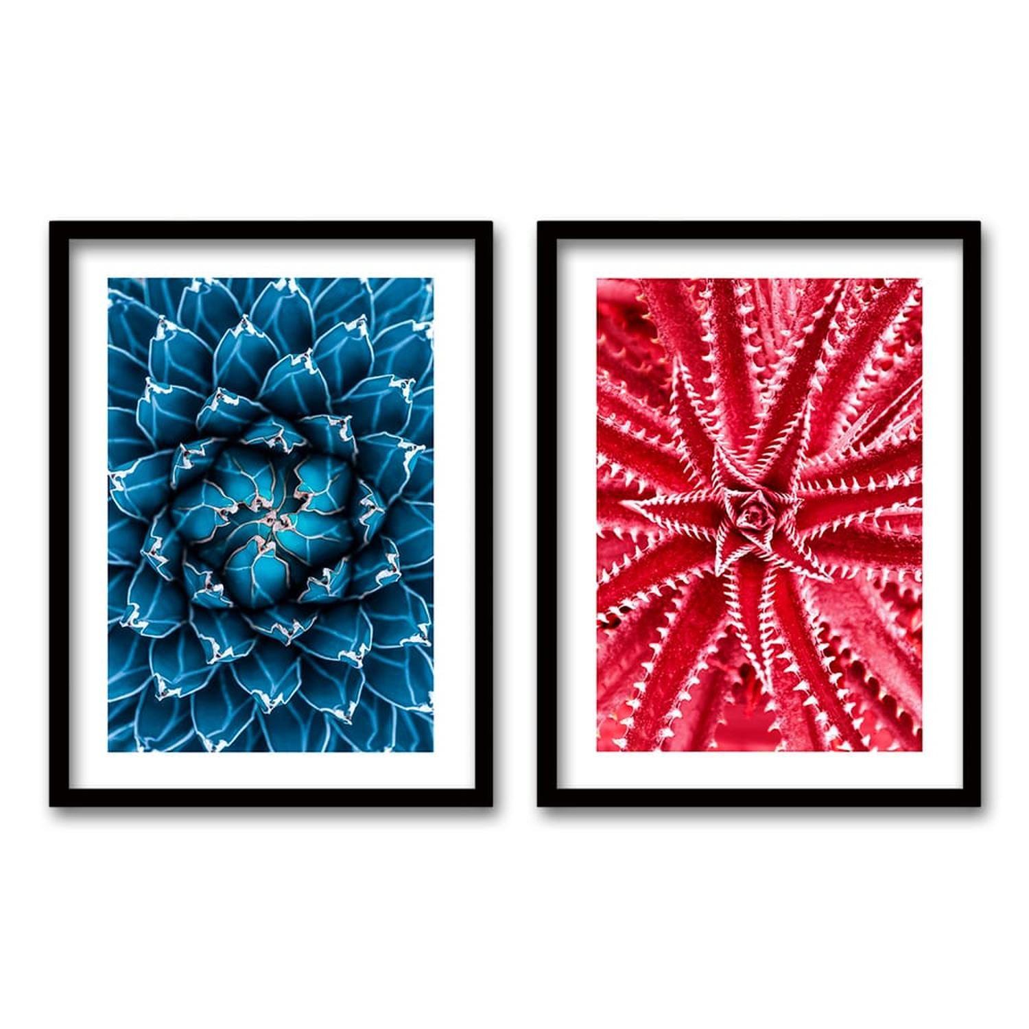 Cuadro Duo Negro Plants-0