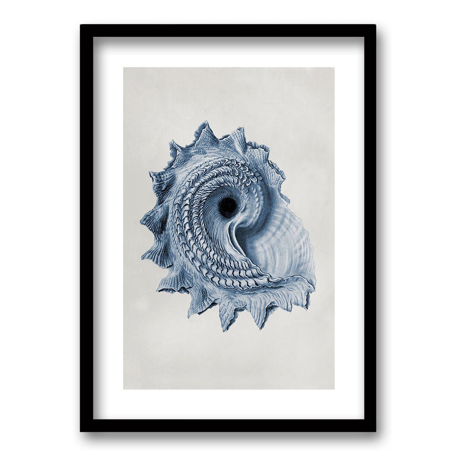 Cuadro Blue Shell lll 70x50 CM-0