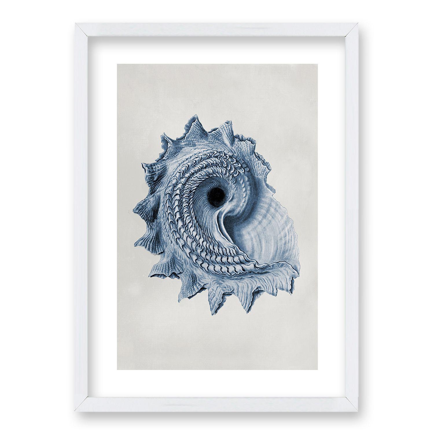 Cuadro Blue Shell lll 70x50 CM-0