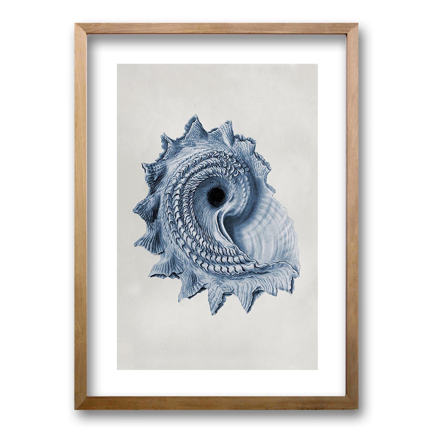 Cuadro Blue Shell lll 70x50 CM-0