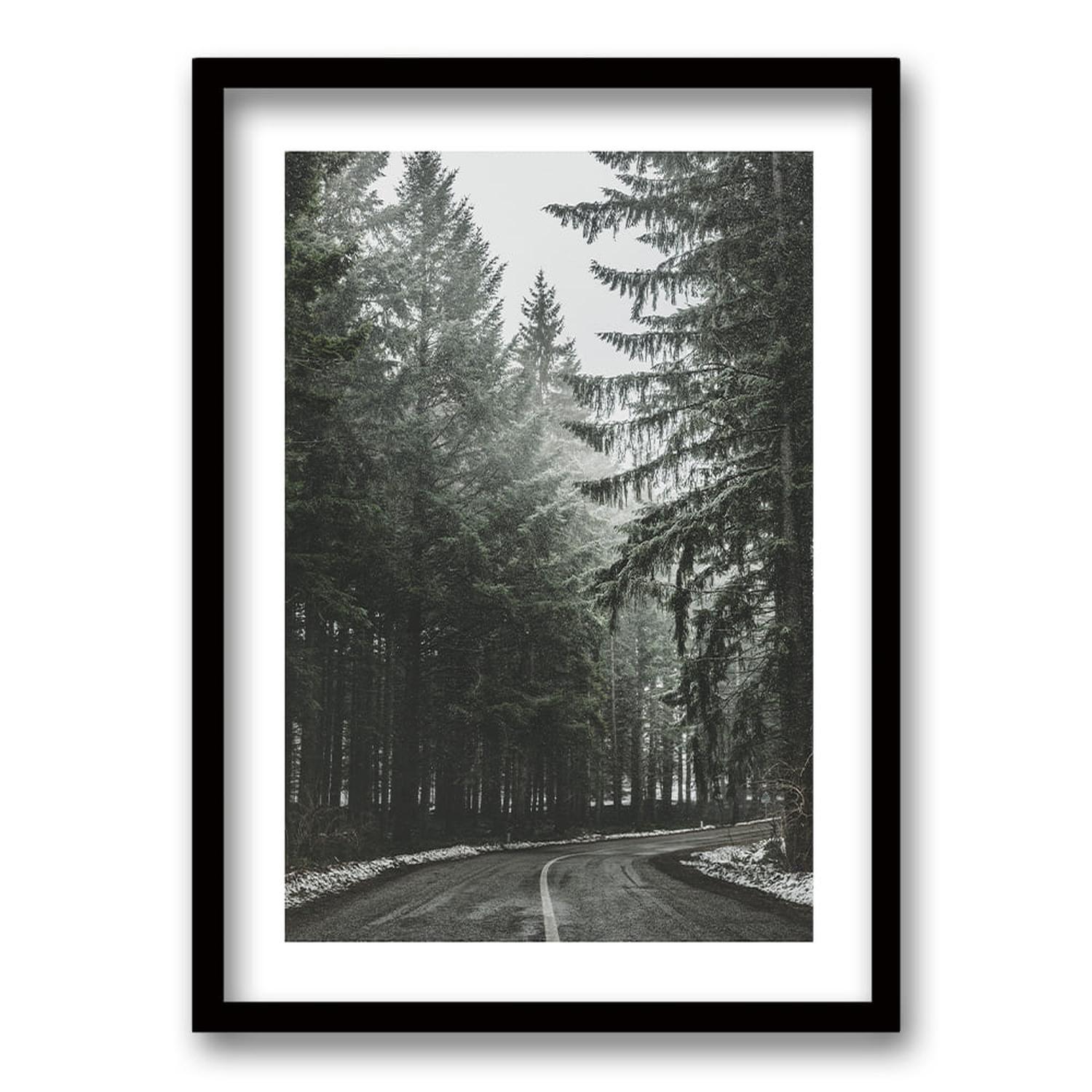 Cuadro Bosque BN II-0
