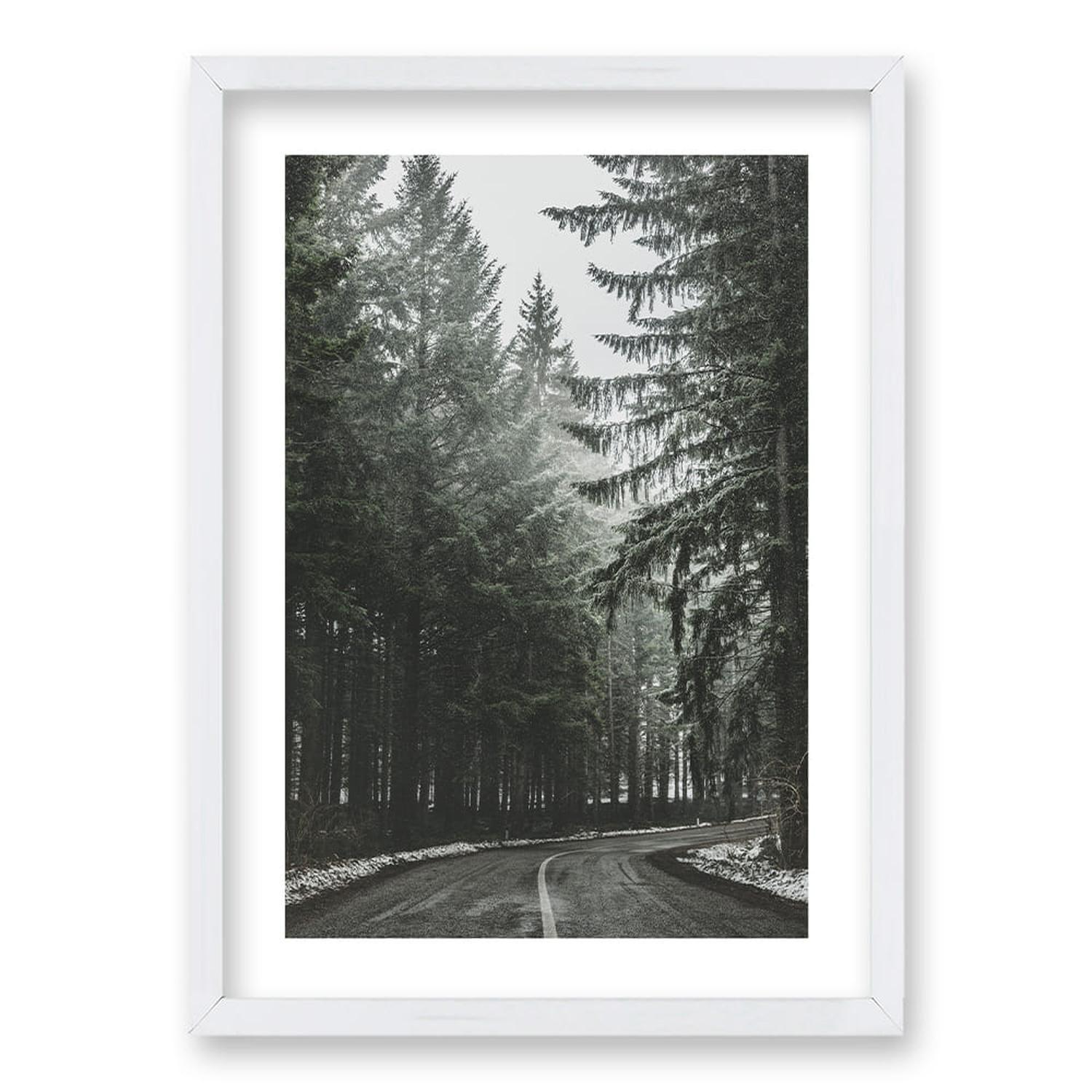 Cuadro Bosque BN II-3