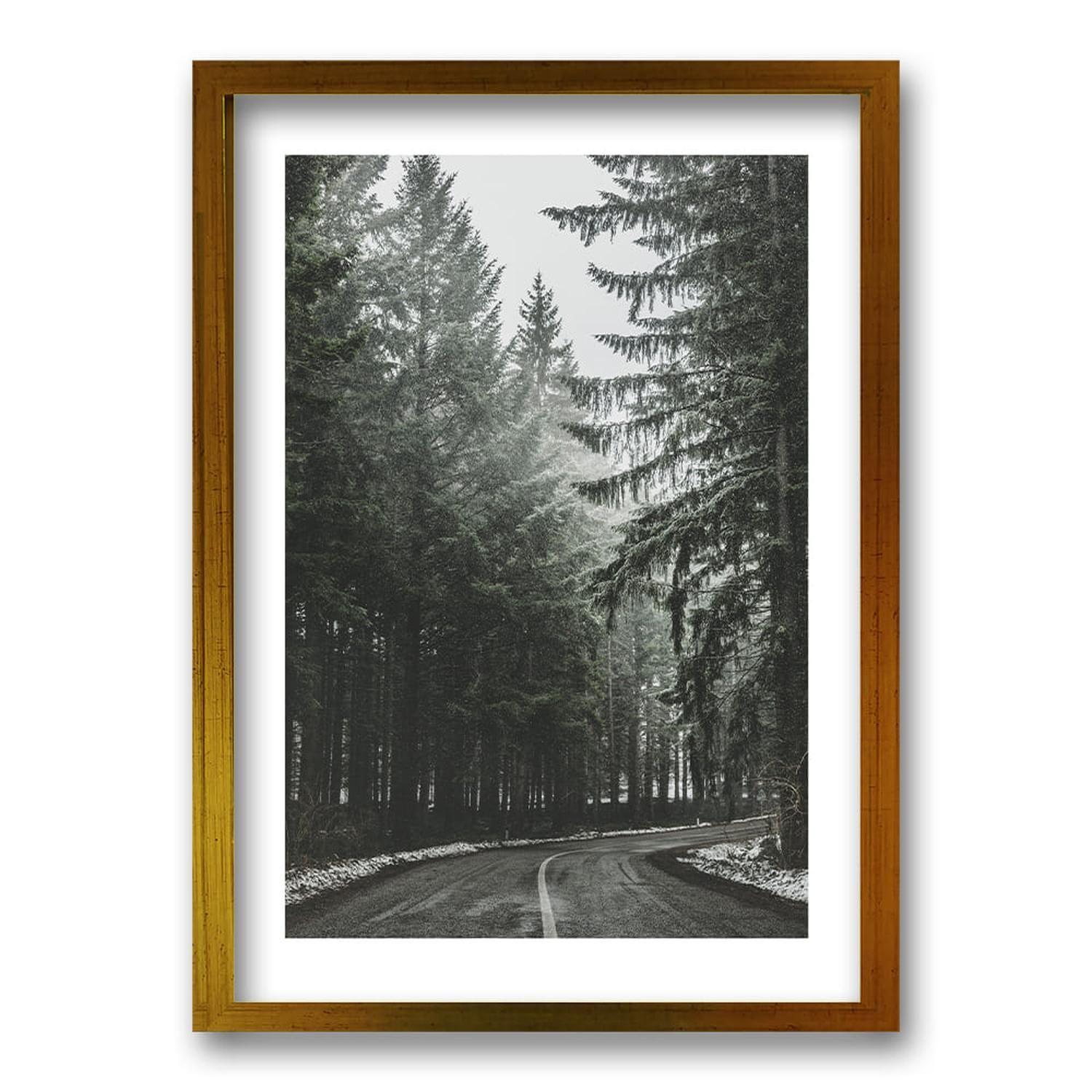Cuadro Bosque BN II-5