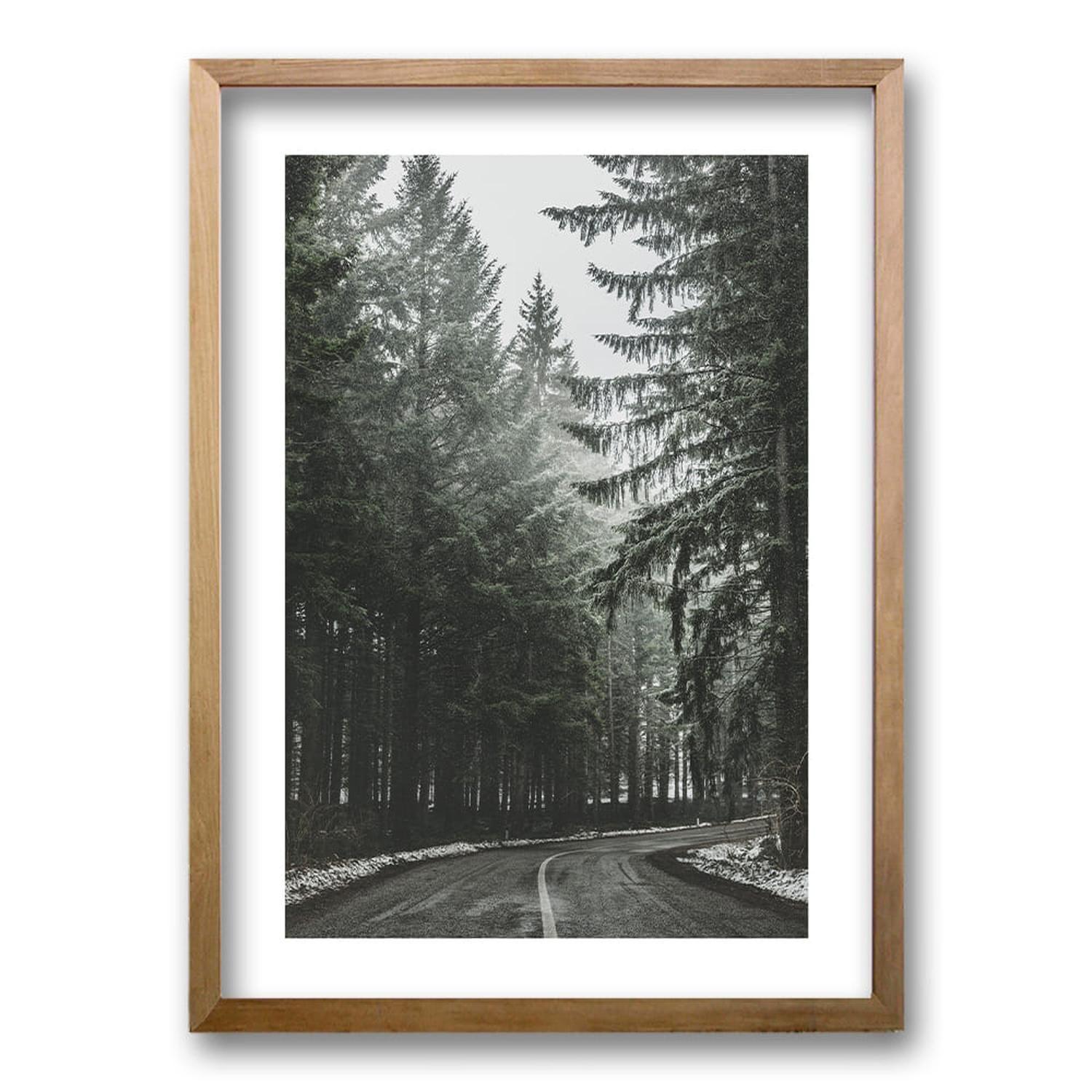 Cuadro Bosque BN II-6