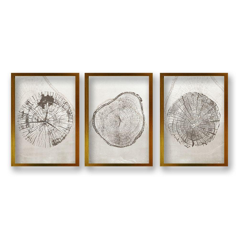 Cuadro Trio Núcleo Arbóreo 70x50 CM-0