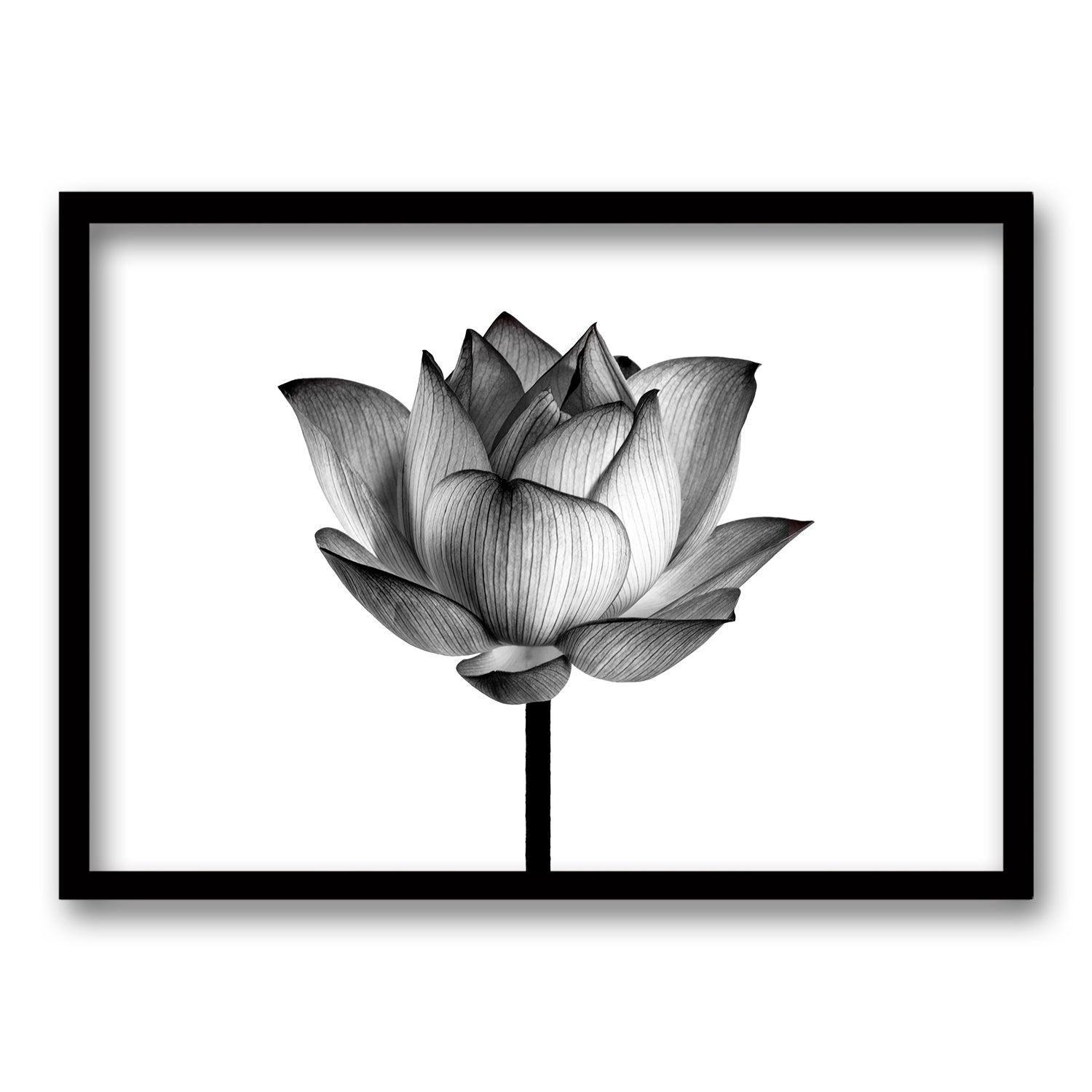 Cuadro Flor de Loto II-0